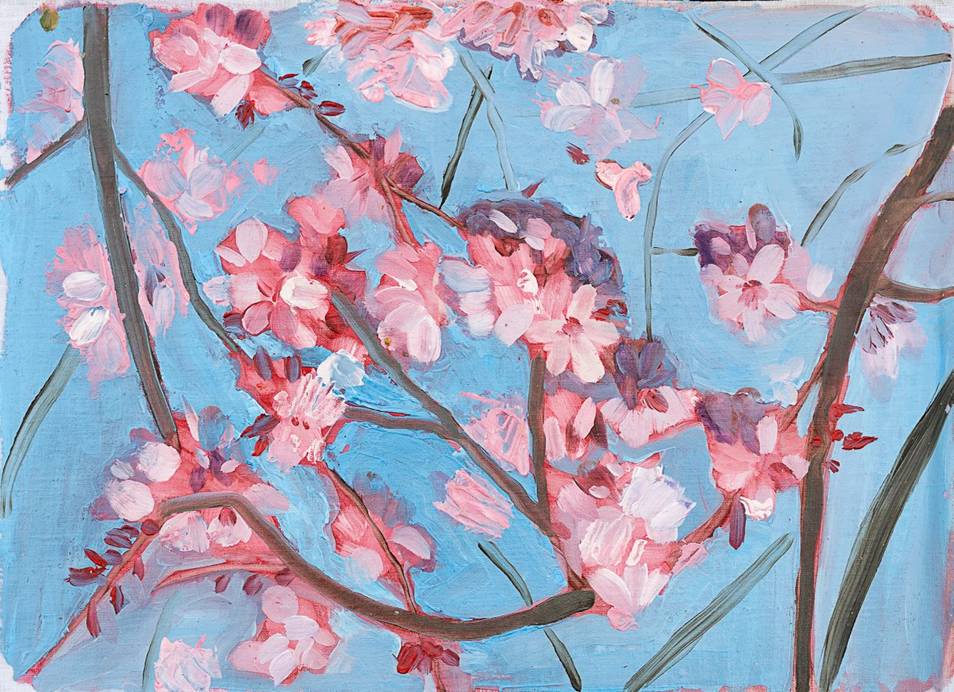 Oil painting of pink cherry blossom flowers along dark branches against a pale blue sky