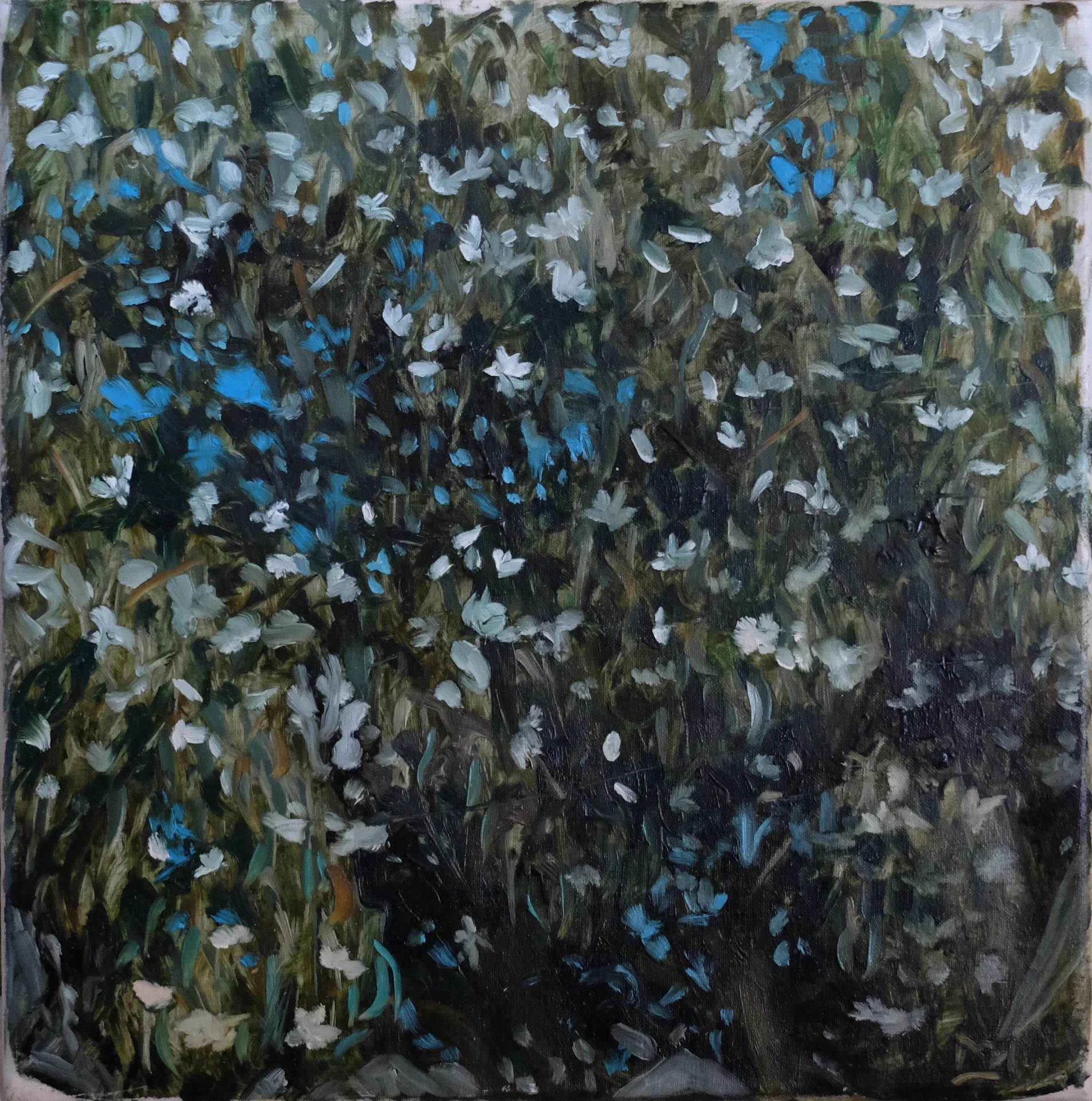 Impressionistic oil painting of scattered white and blue blossoms across dark green foliage