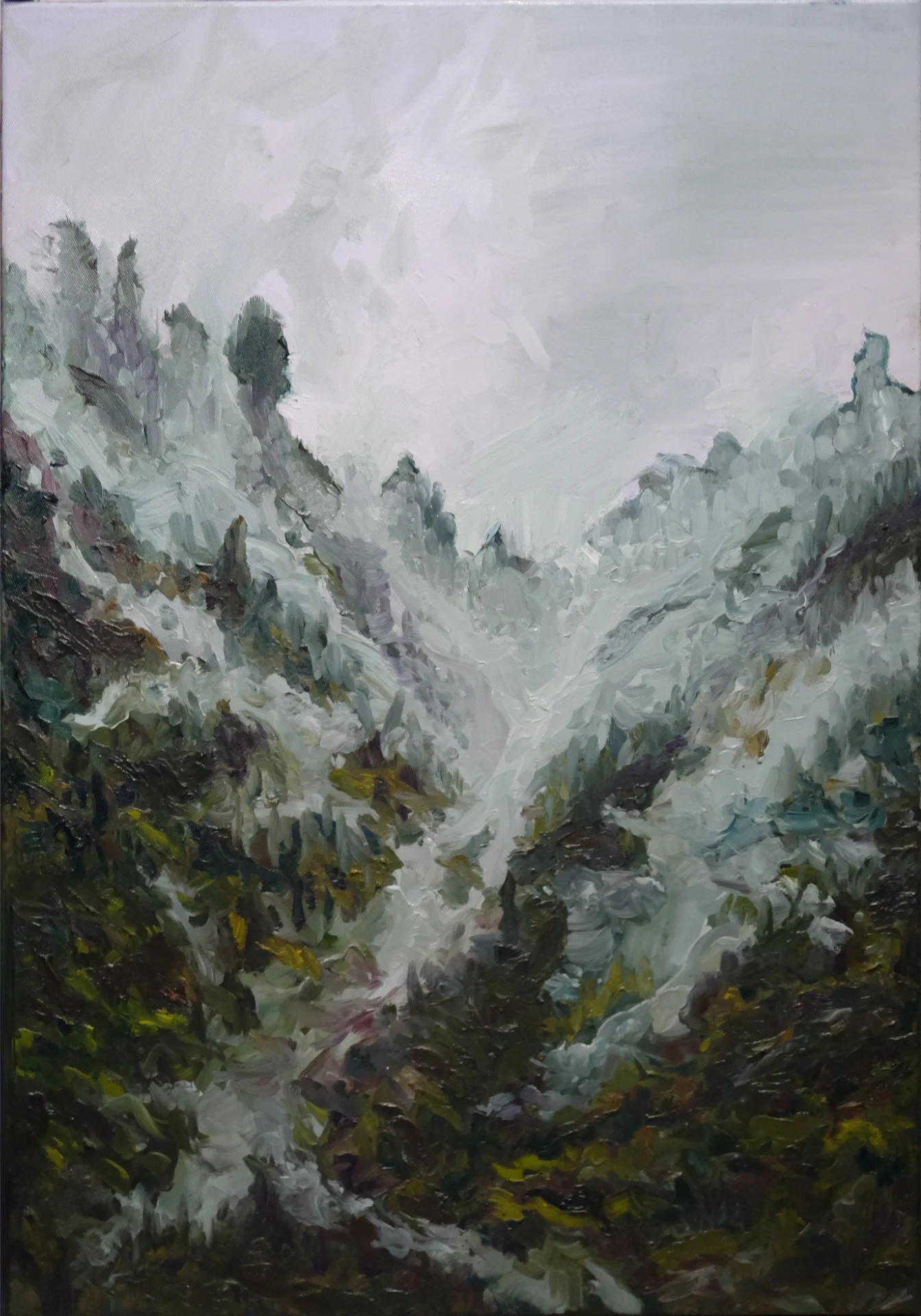 Oil painting of mist drifting through a steep forested mountain gully, dark pines emerging from white fog