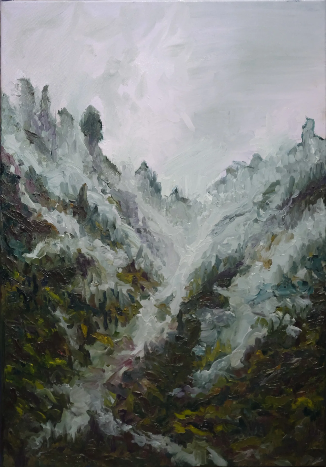 Oil painting of mist drifting through a steep forested mountain gully, dark pines emerging from white fog