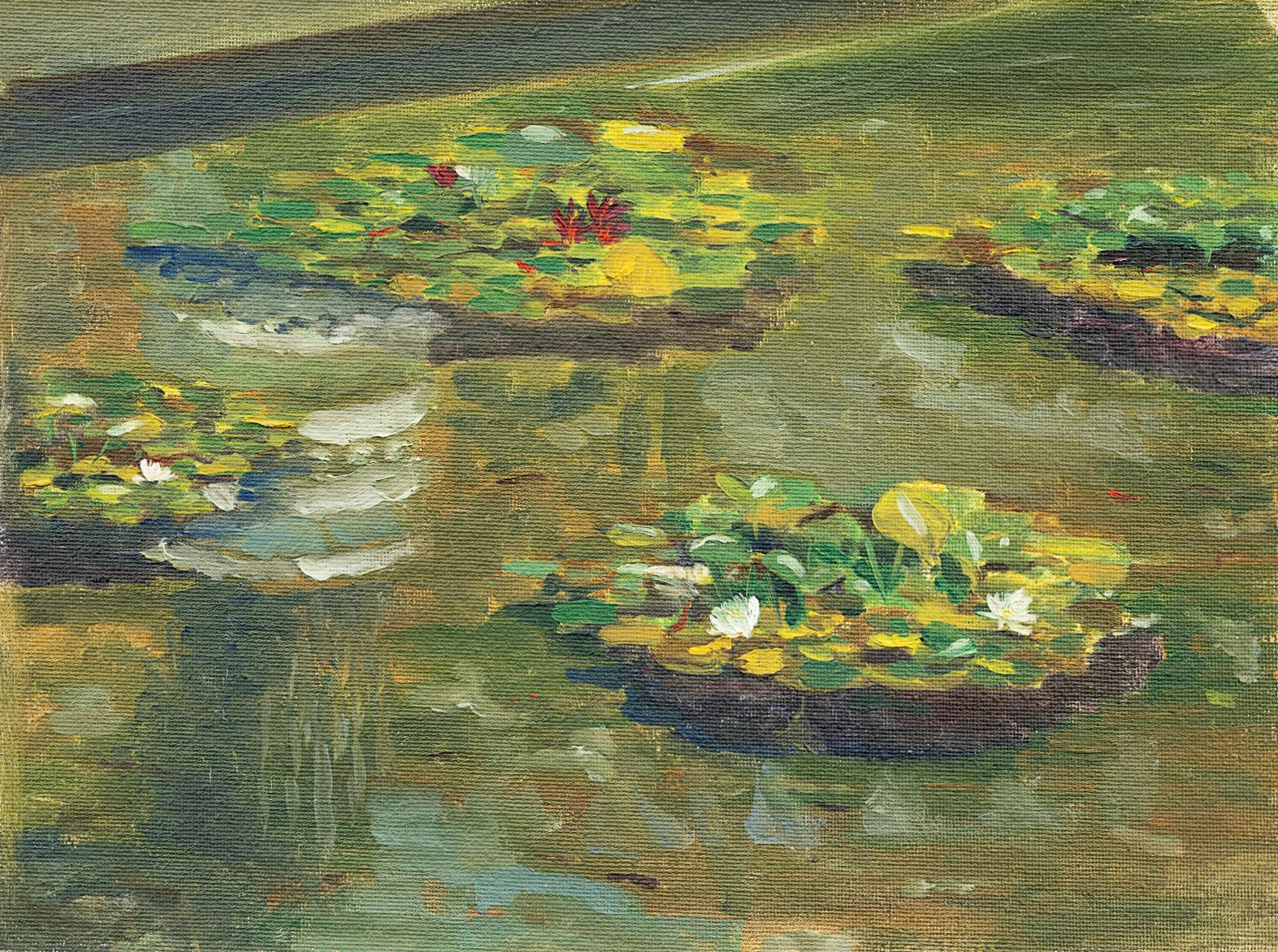 Oil painting of clusters of water-lily pads with white and yellow flowers on a still green pond