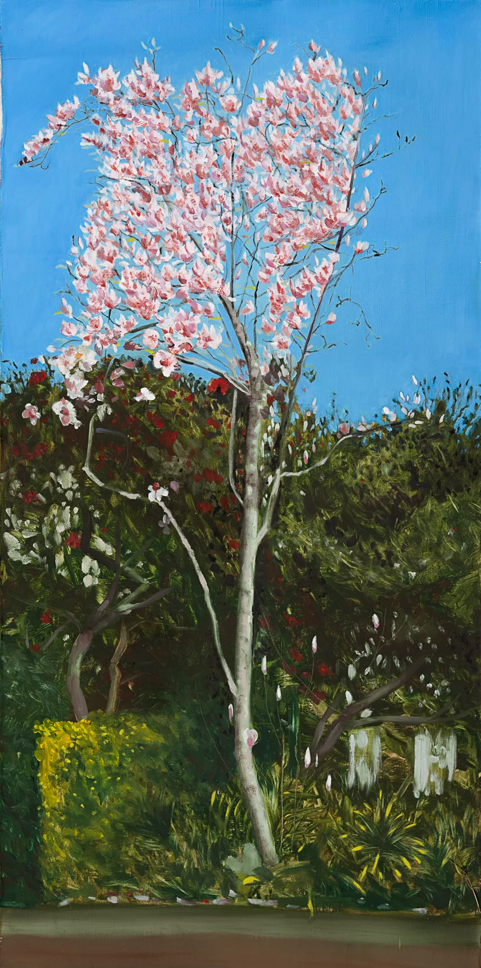 Oil painting of a slender pink blossom tree in full bloom against a blue sky, rising above a green garden hedge